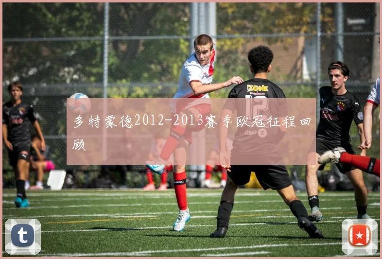 多特蒙德2012-2013赛季欧冠征程回顾