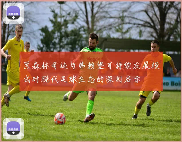 黑森林奇迹与弗赖堡可持续发展模式对现代足球生态的深刻启示